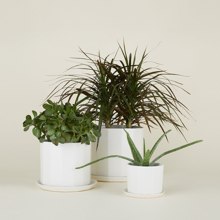 Decor Convivial Garden | Riveted Planter